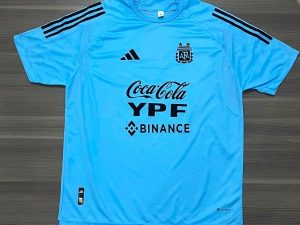 CAMISETA AFA ENTRENAMIENTO CELESTE TALLE 9