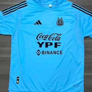 CAMISETA AFA ENTRENAMIENTO CELESTE TALLE 9