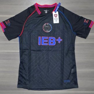 SAN LORENZO SUPLENTE VERSION JUGADOR  2025 TALLES (S/M/L/XL)