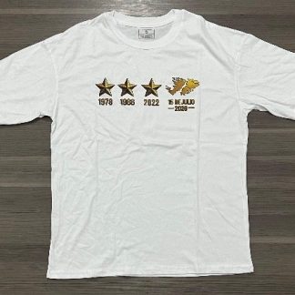 REMERA ARGENTINA MALVINAS ESTRELLAS DORADAS TALLE (S/ M/ L/ XL/ XXL)