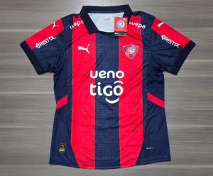 CERRO PORTEÑO TITULAR VERSION JUGADOR TALLES(S/ M/ L/ XL)