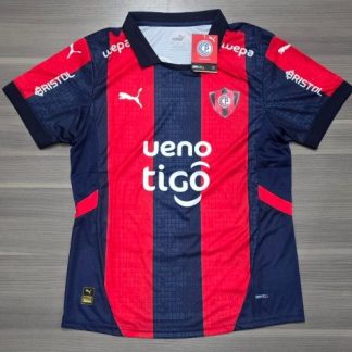CERRO PORTEÑO TITULAR VERSION JUGADOR TALLES(S/ M/ L/ XL)