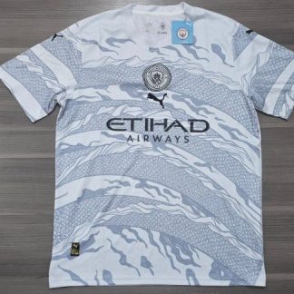 MANCHESTER CITY GRIS TALLE XL